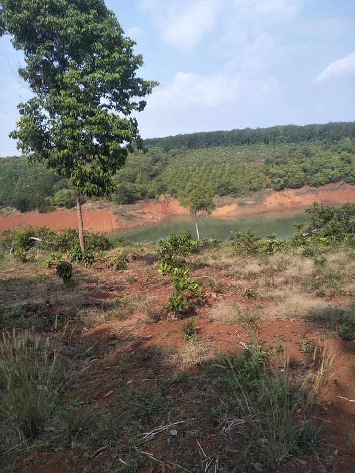 Bán đất xã Phước Tân giá 1,1tỷ dt 1,9ha