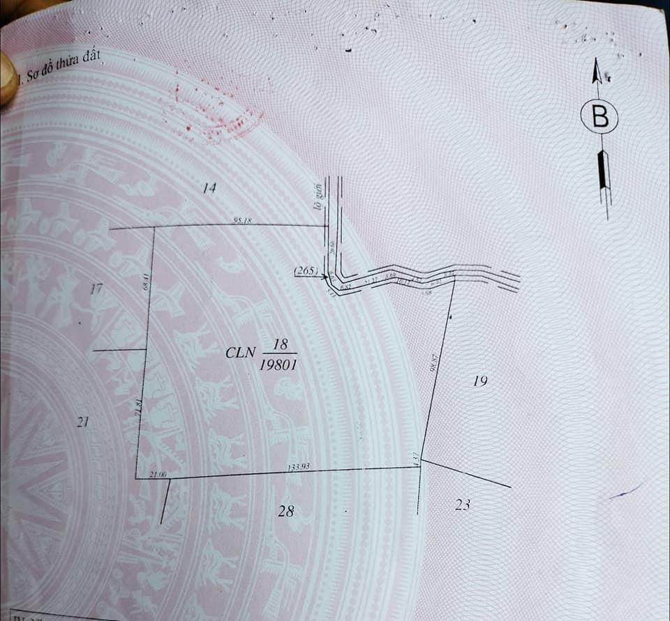 Bán đất cao su xã Thuận Phú giá 3tỷ200tr dt 2ha