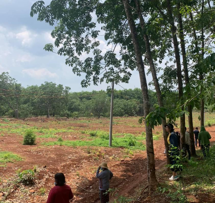Bán đất xã Tân Lợi giá 360tr dt 1000m2