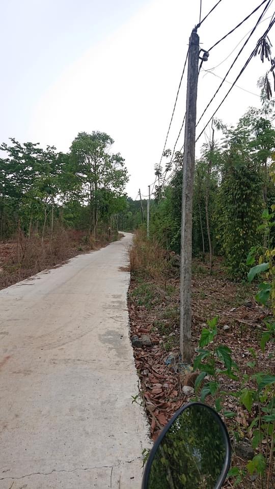 Bán đất Thanh An giá 250tr dt 11×83