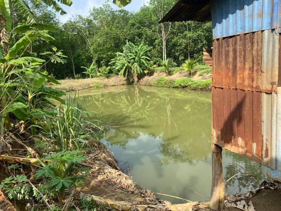 Bán đất xã Bình Sơn giá 1tỷ950tr dt 2,7ha