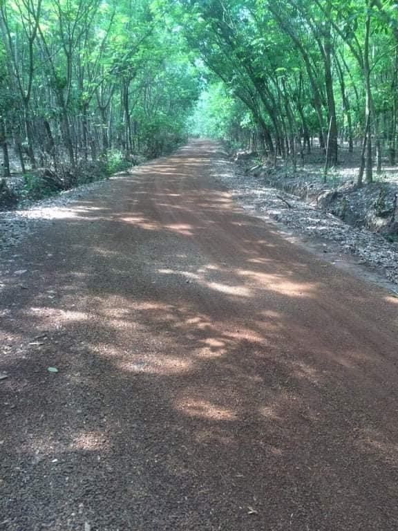 Bán đất cao su  xã Tân Hưng giá 1,6tỷ/1ha dt 4,4ha