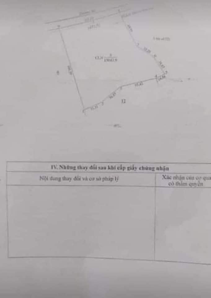 Bán đất cao su xã Bình Sơn giá 2,5tỷ dt 1,3ha