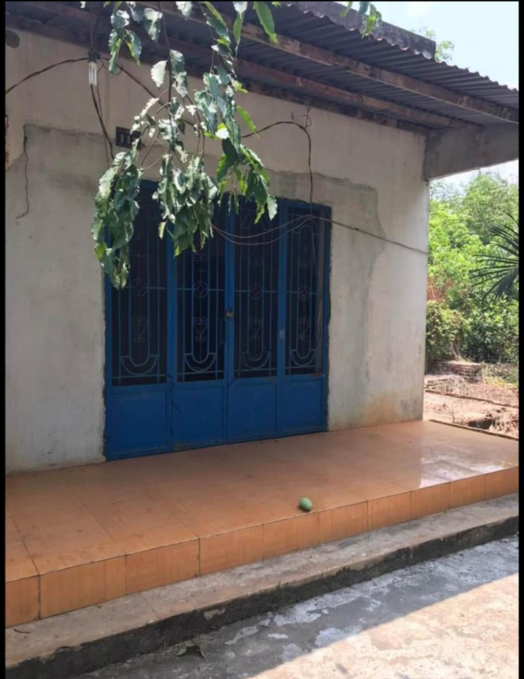 Bán đất xã Thanh Lương giá 400tr dt 2500m2