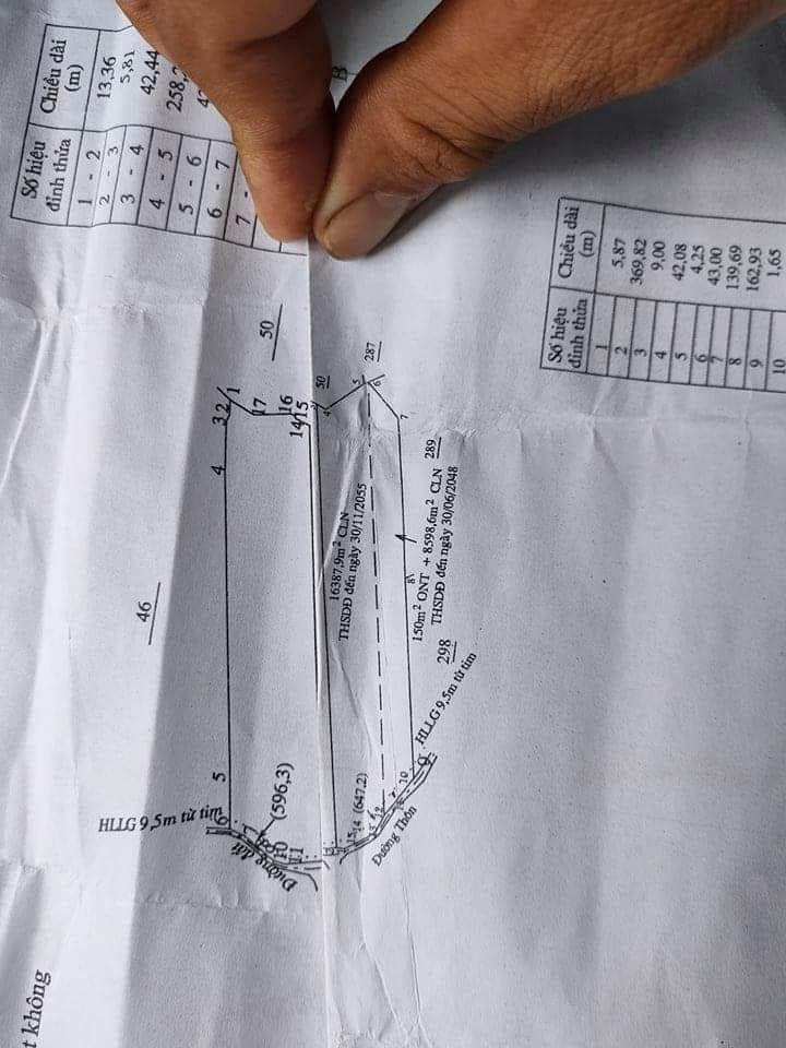 Bán đất cao su xã Phước Minh giá 1tỷ50tr dt 5,3ha