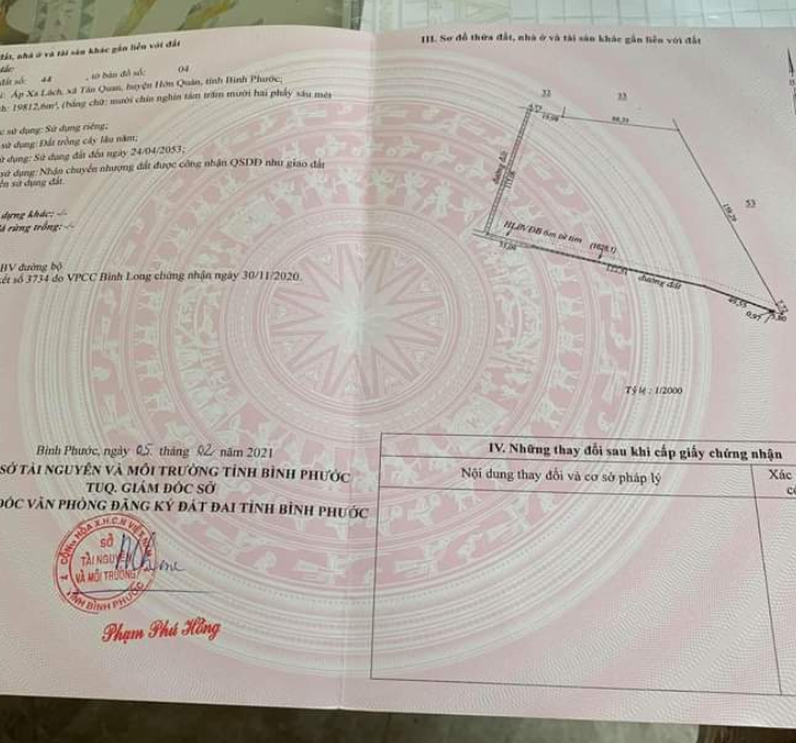 Bán đất có cao su xã Tân Quan giá 10tỷ dt 2mẫu