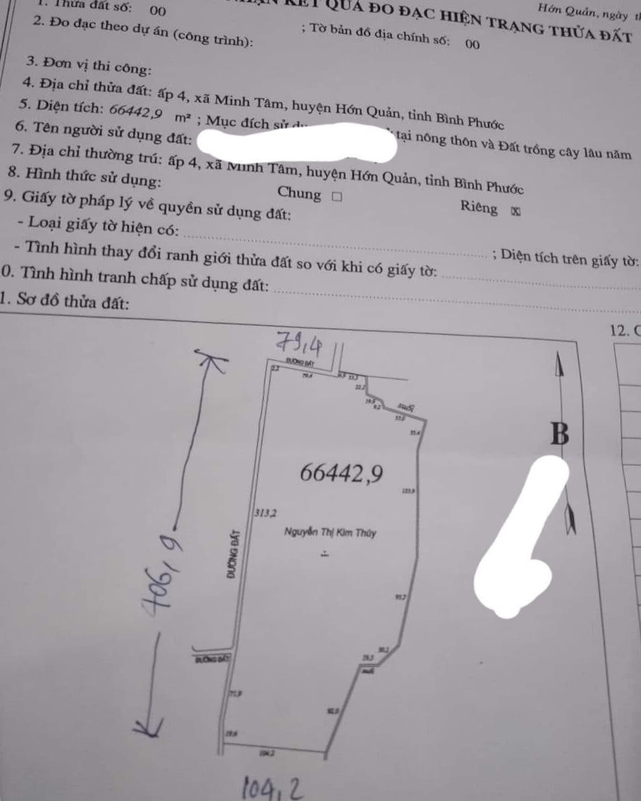 Bán đất xã Minh Tâm giá 12 tỷ dt 66442,9m2