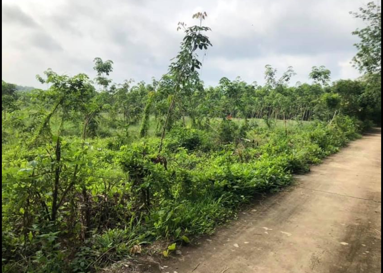 Bán đất xã An Khương giá 800tr dt 5778,8m2