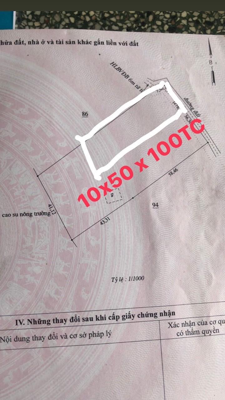 Bán đất xã Thanh Bình giá 1ty150 dt 10x50x100tc