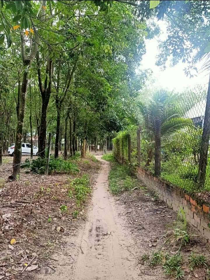 Bán đất phường Ninh Sơn giá 420tr dt 5×33×50m2 tc