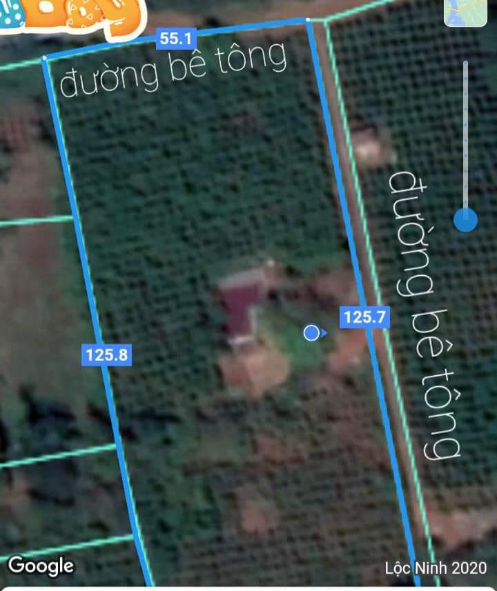 Bán đất xã Lộc Thái giá 7tỷ5 dt 6sào8
