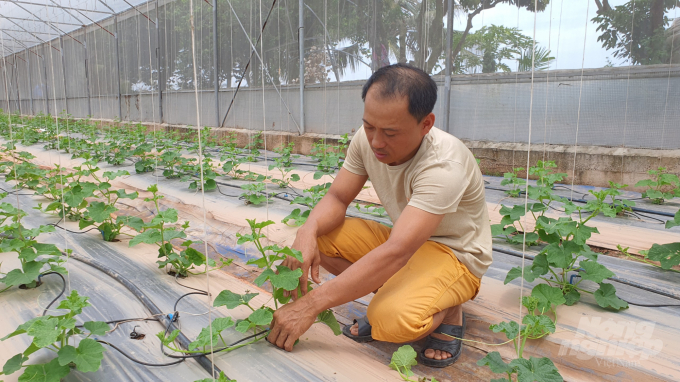 Nhà lưới trồng rau mô hình phát triển nông nghiệp bền vững