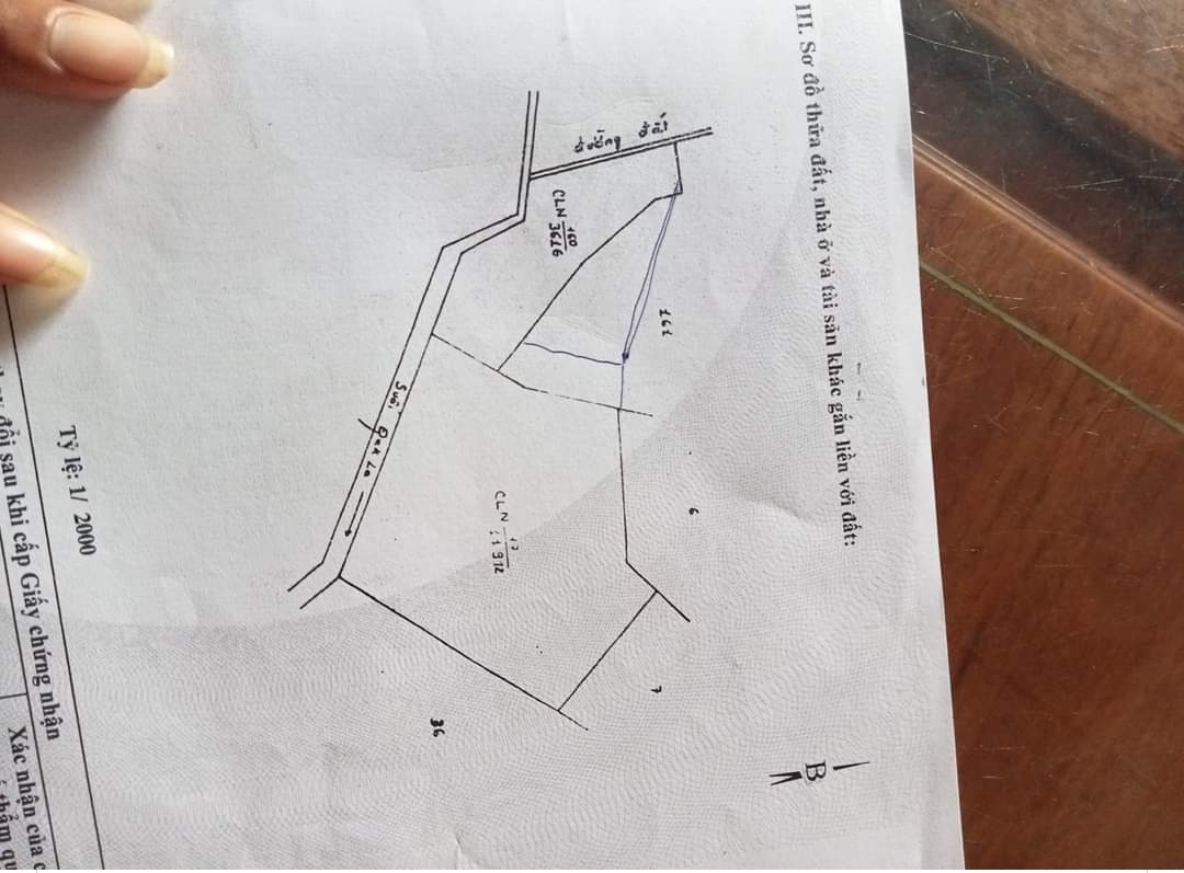 Bán đất xã Đăk Nhau giá 1,5tỷ dt 2,3ha điều