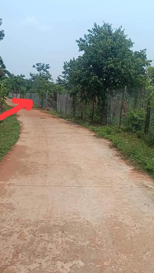 Bán đất xã Lộc An giá 270tr dt 10x50x100tc