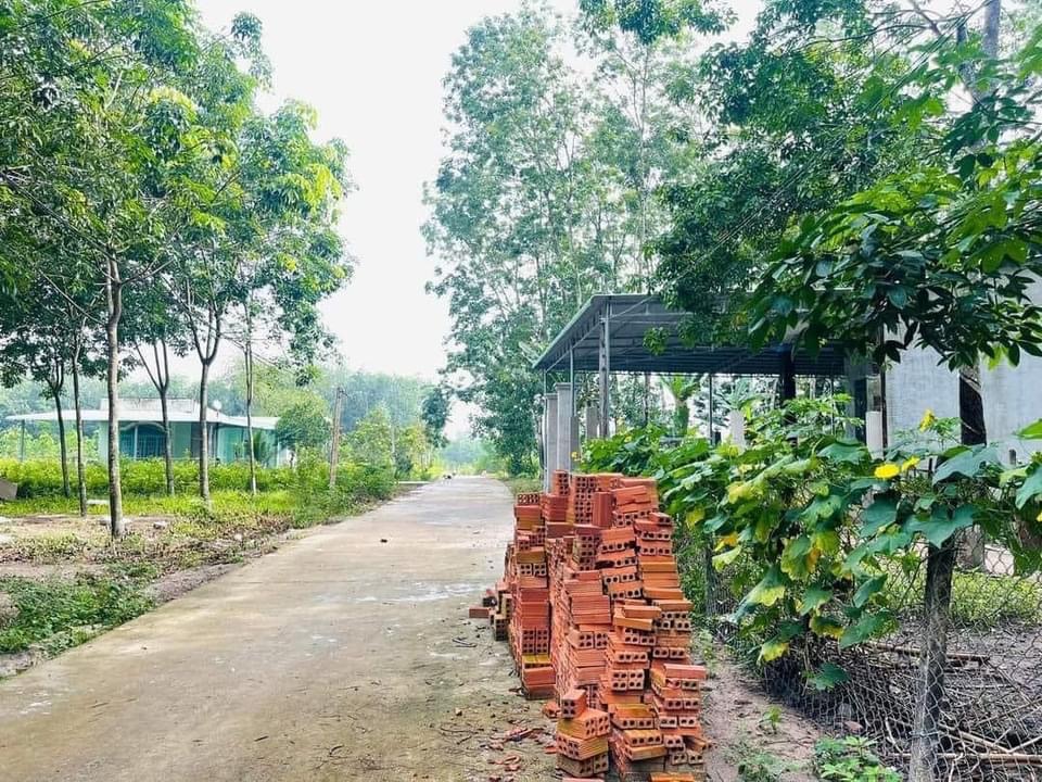 Bán đất xã Minh Hưng giá 450tr dt 5×50