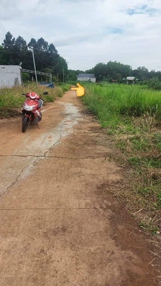 Bán đất phường An Lộc giá 320tr dt 5×30 (50 tc)