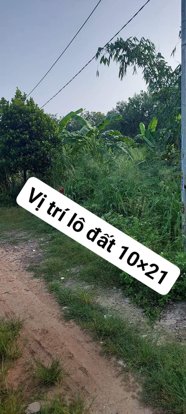 Bán đất Trừ Văn Thố giá 980tr dt 10*21