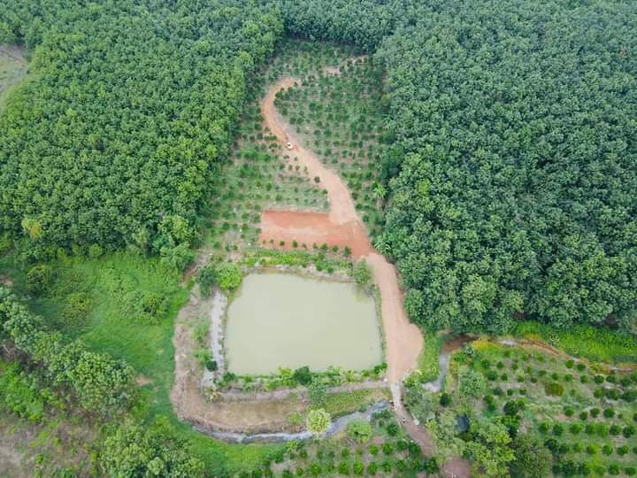 Bán đất xã Tiến Hưng giá 2tỷ5/ha dt 2ha4