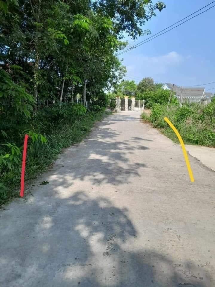 Bán đất phường Minh Hưng giá 520tr dt 5×50
