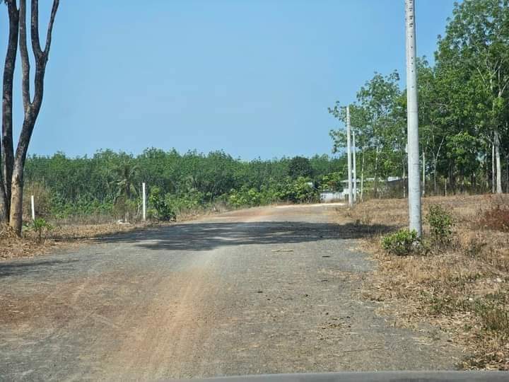 Bán đất tt Tân Khai giá 720tr dt 11,5×45×100tc