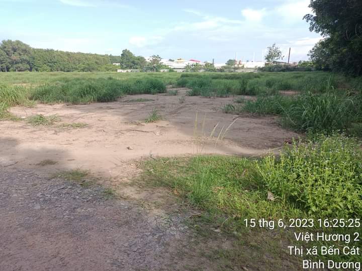 Bán đất An Tây giá 30tỉ dt 16700m2
