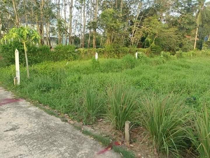 Bán đất An Tây giá 1tỉ250 dt 5*34*100tc