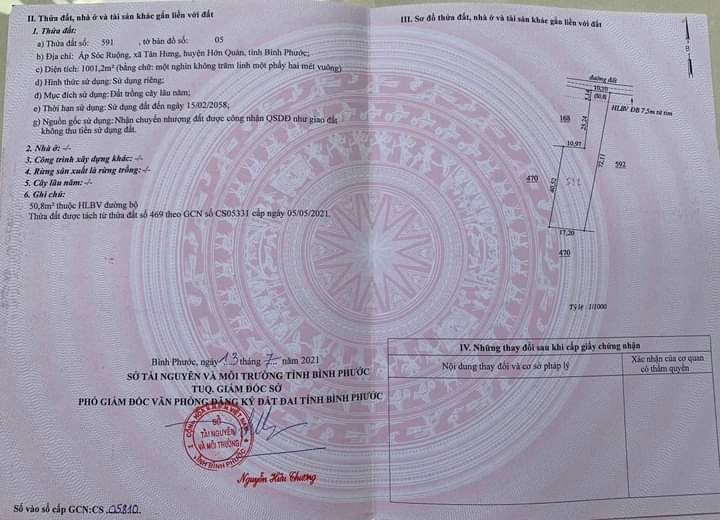 Bán đất xã Tân Hưng giá 200tr dt 1sào