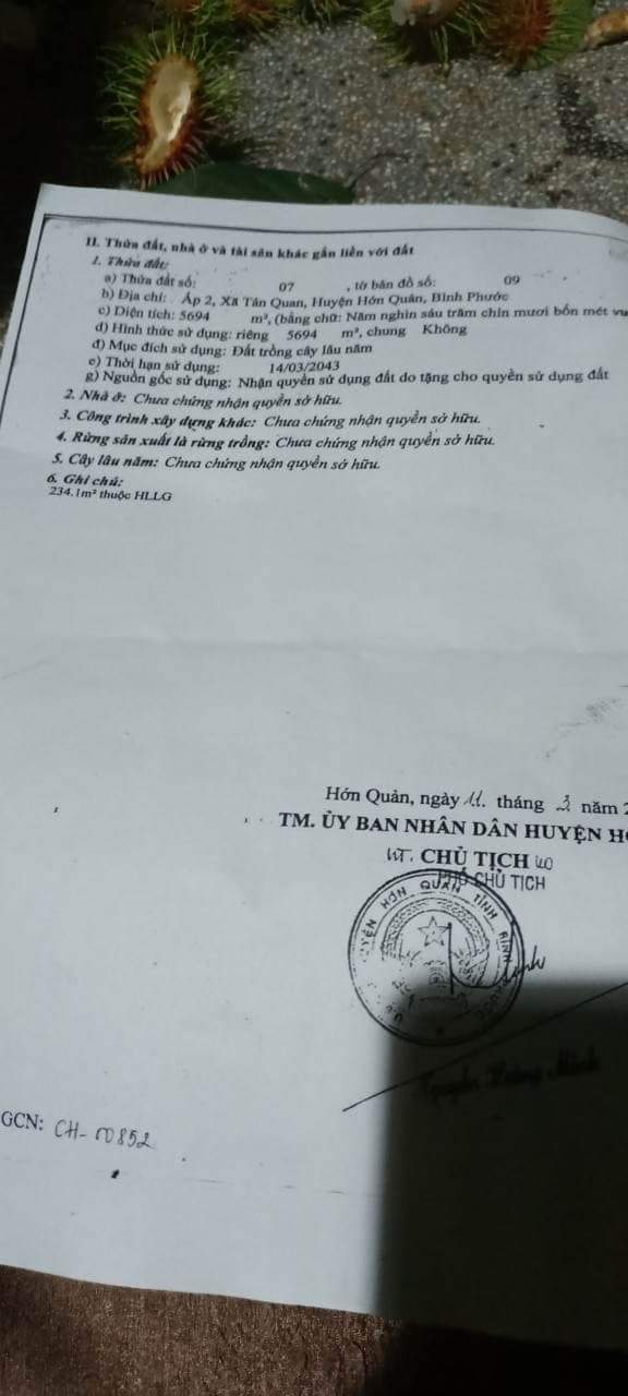 Bán đất xã Tân quan giá 2tỷ7 dt 5xào6