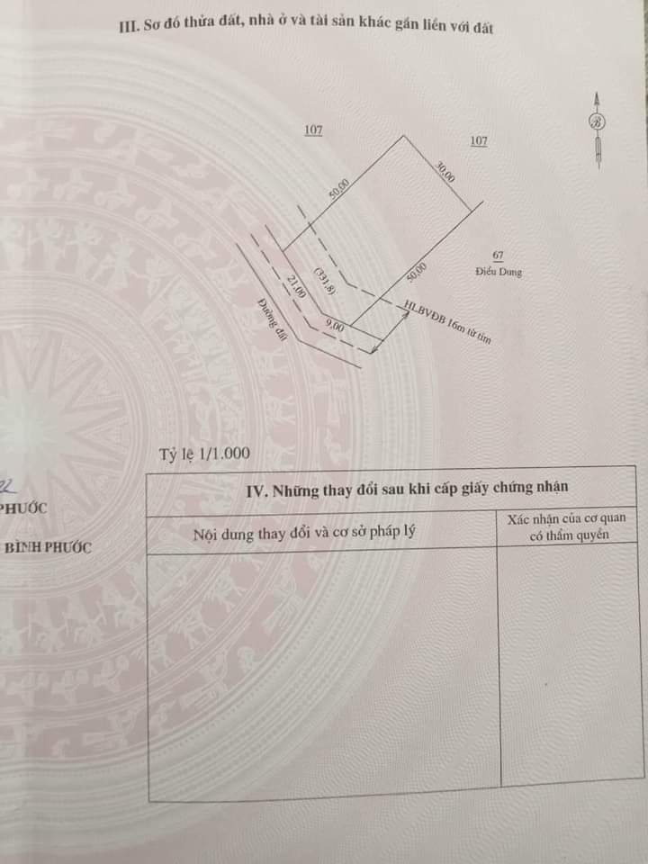 Bán đất ấp 8C xã Lộc Hòa giá 50tr/m dt 30×50