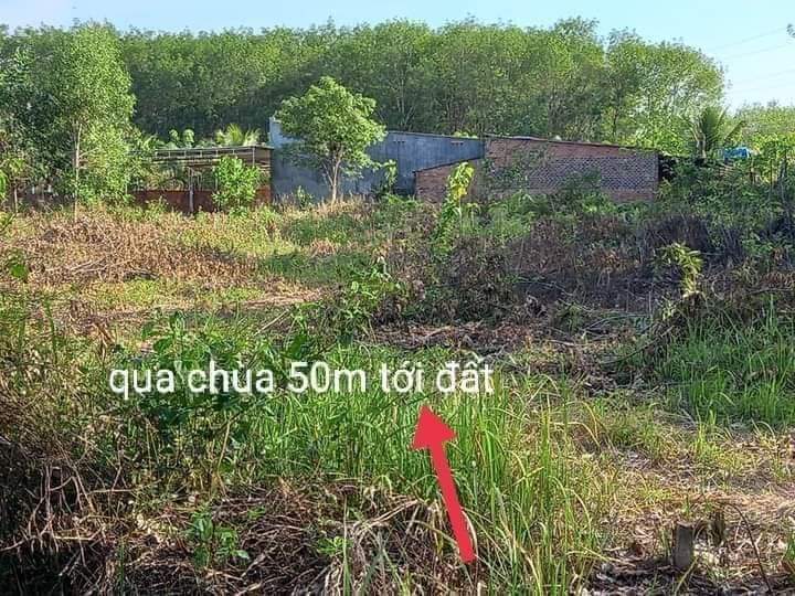 Bán đất tt Tân Khai giá 1tỷ1 dt 10×40×50tc