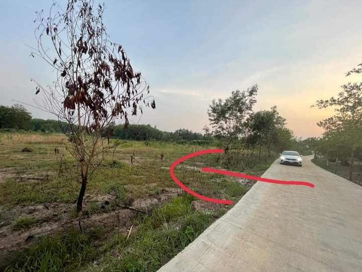 Bán đất tt Tân Khai giá 600tr dt 5×50×50tc