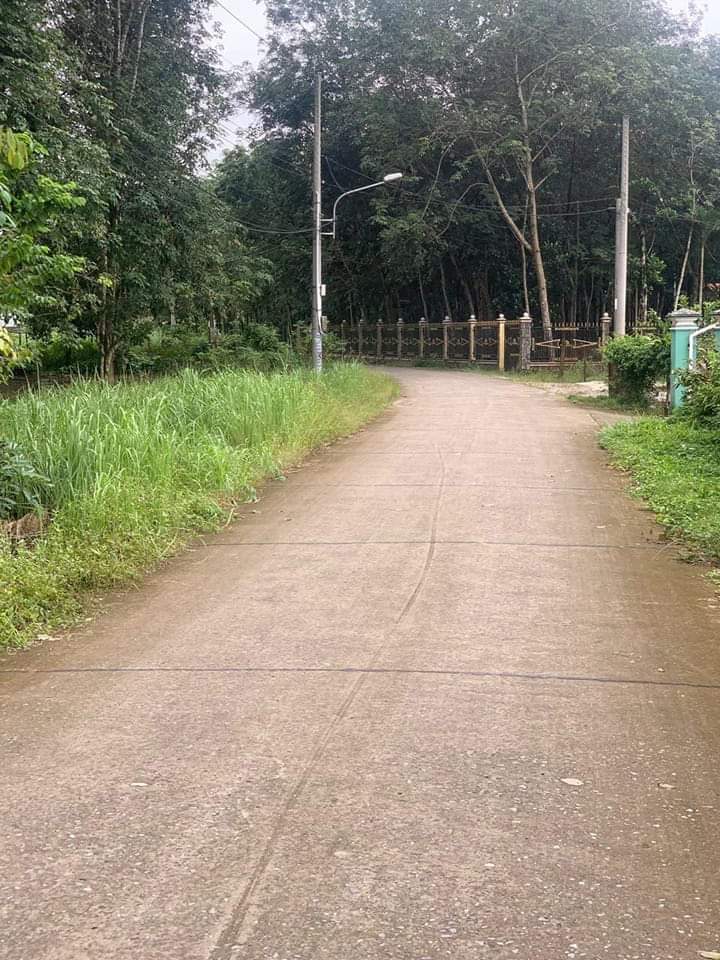 Bán đất Lai Uyên giá 800tr dt 5*54*80tc