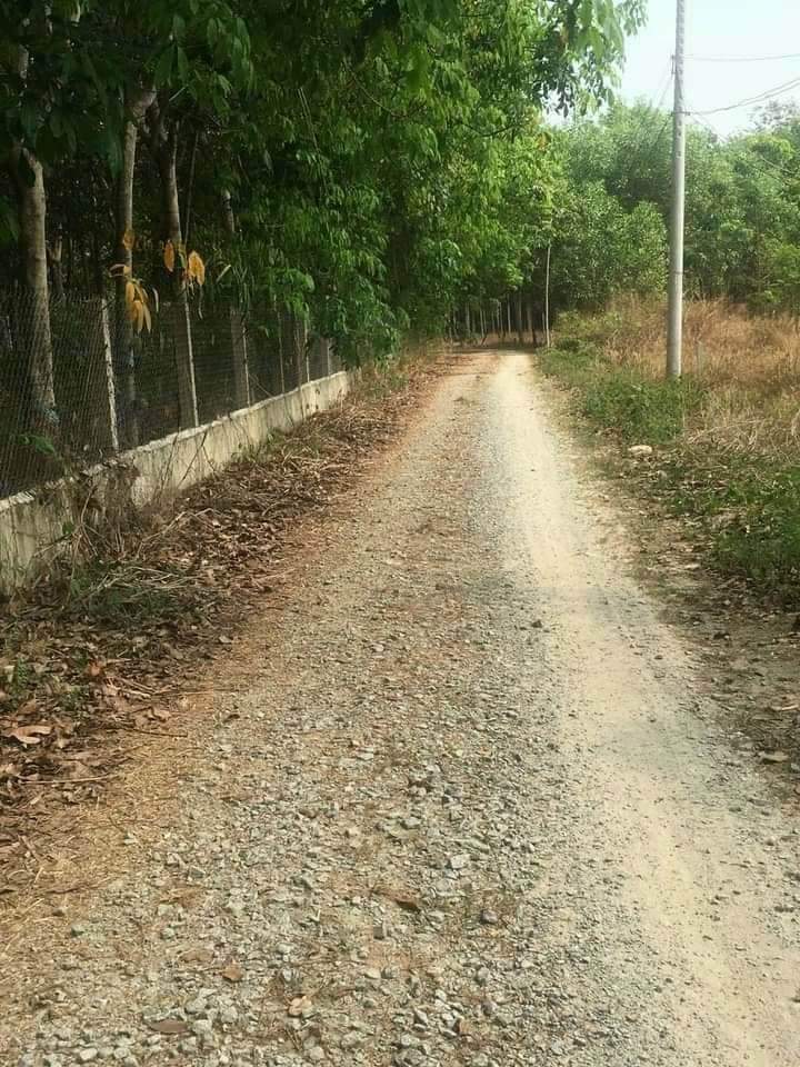 Bán đất Lai Uyên giá 520tr dt 6*50