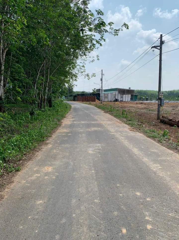 Bán đất long Nguyên giá 790tr dt 5*96*100tc
