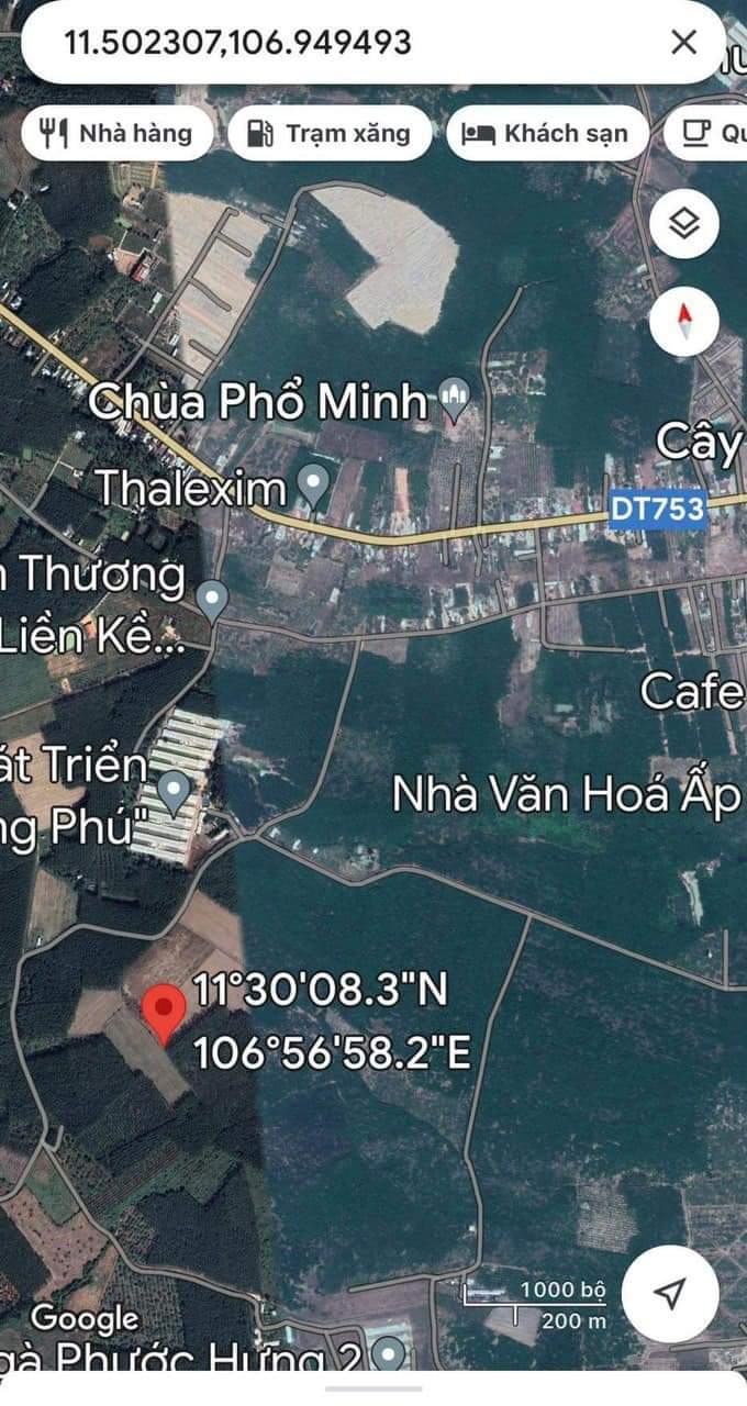 Bán đất xã Tân Hưng giá 1tỷ dt 4sào1