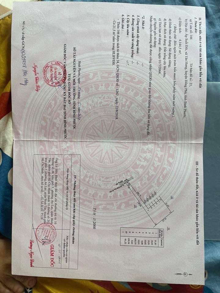 Bán đất xã Tân Hưng giá 1tỷ dt 4sào1