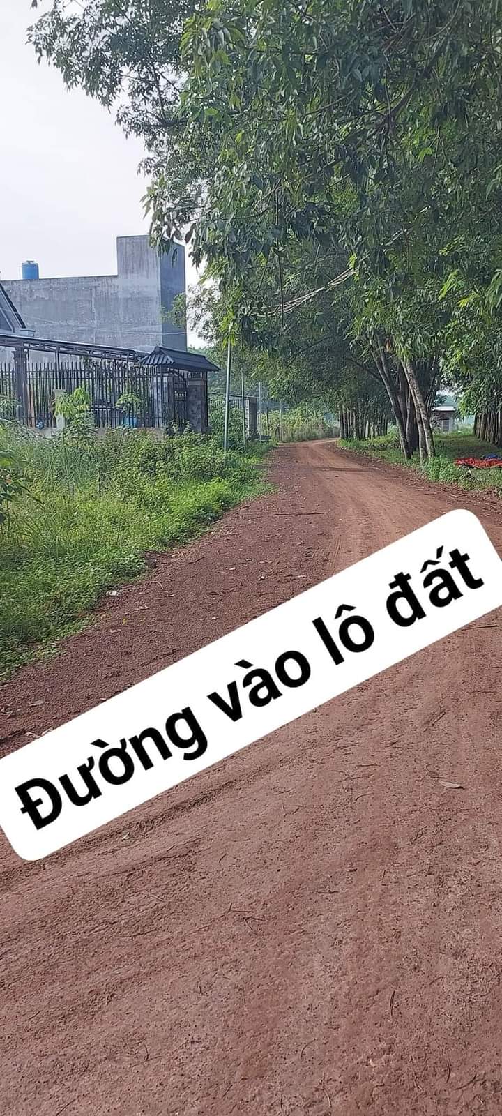 Bán đất Trừ Văn Thố giá 980tr dt 10*21