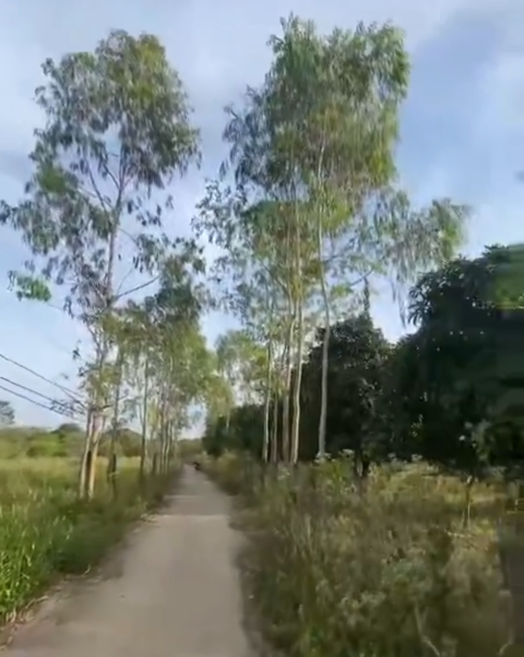 Bán đất xã Thanh Hòa dt 3,7xào giá 550tr