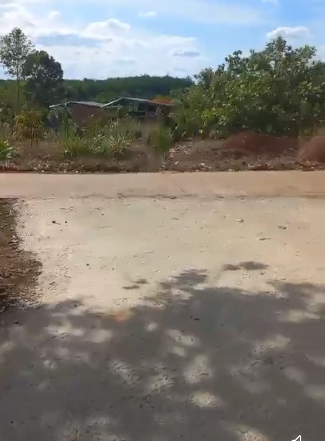 Bán đất xã Long Bình dt 2,9ha giá 1,3tỷ/ha