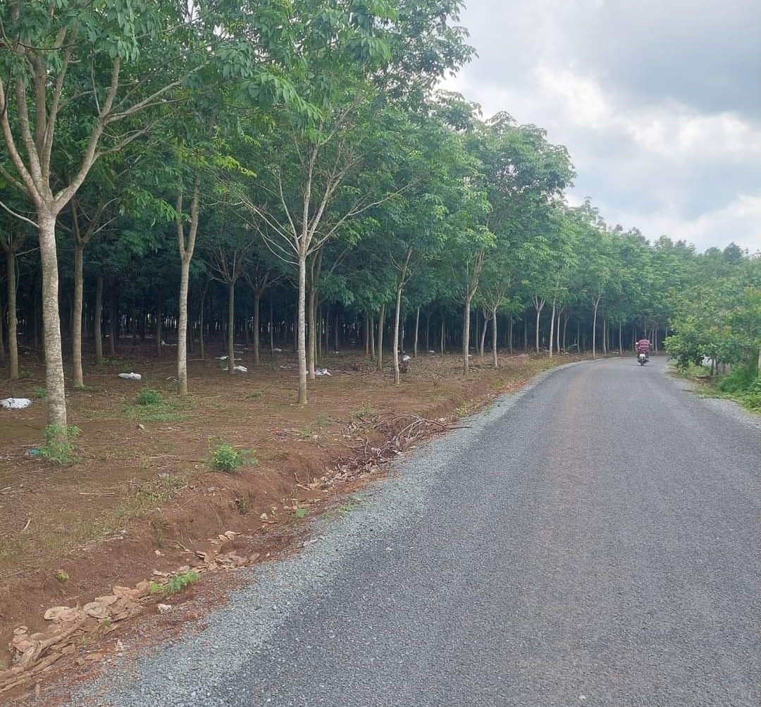 Bán đất xã Long Hà dt 3,3ha giá 14tỷ