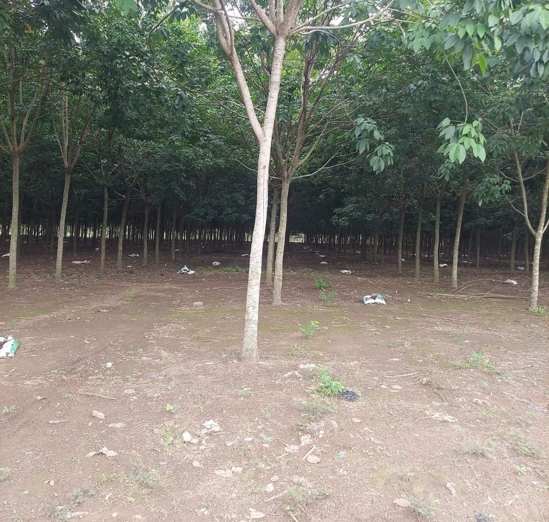 Bán đất xã Long Hà dt 3,3ha giá 14tỷ