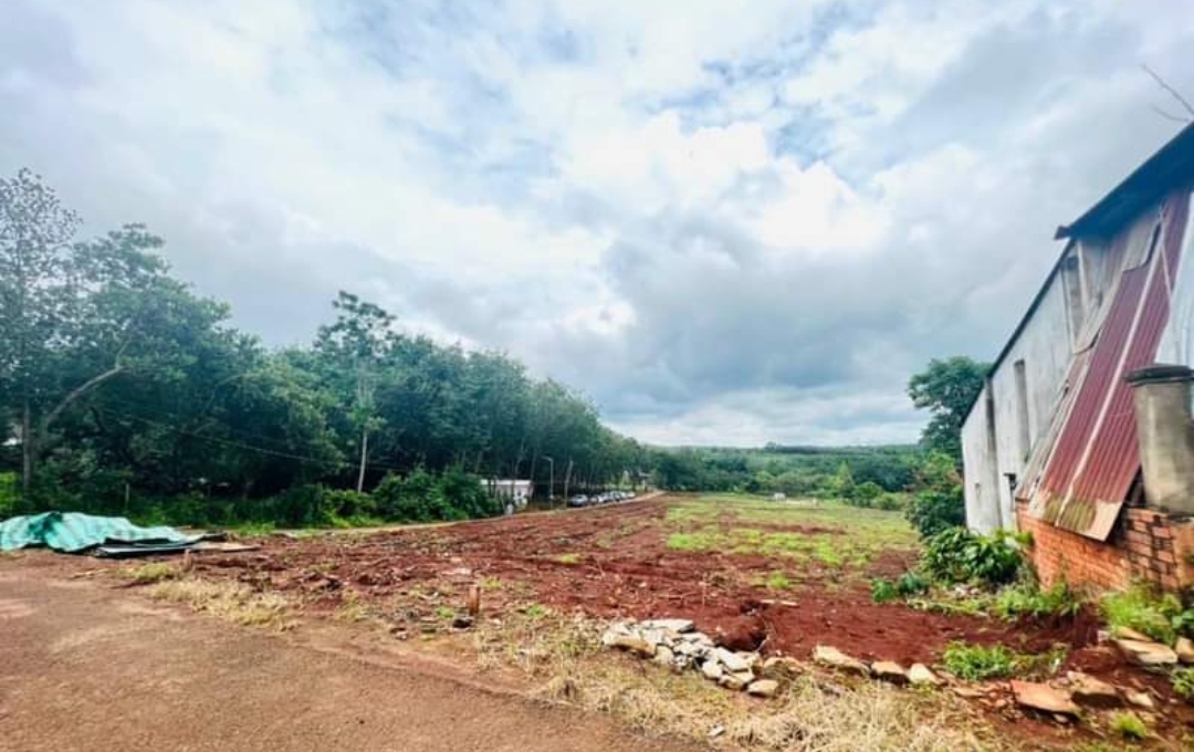 Bán đất xã Long Hưng dt 15*78 giá 2,9tỷ