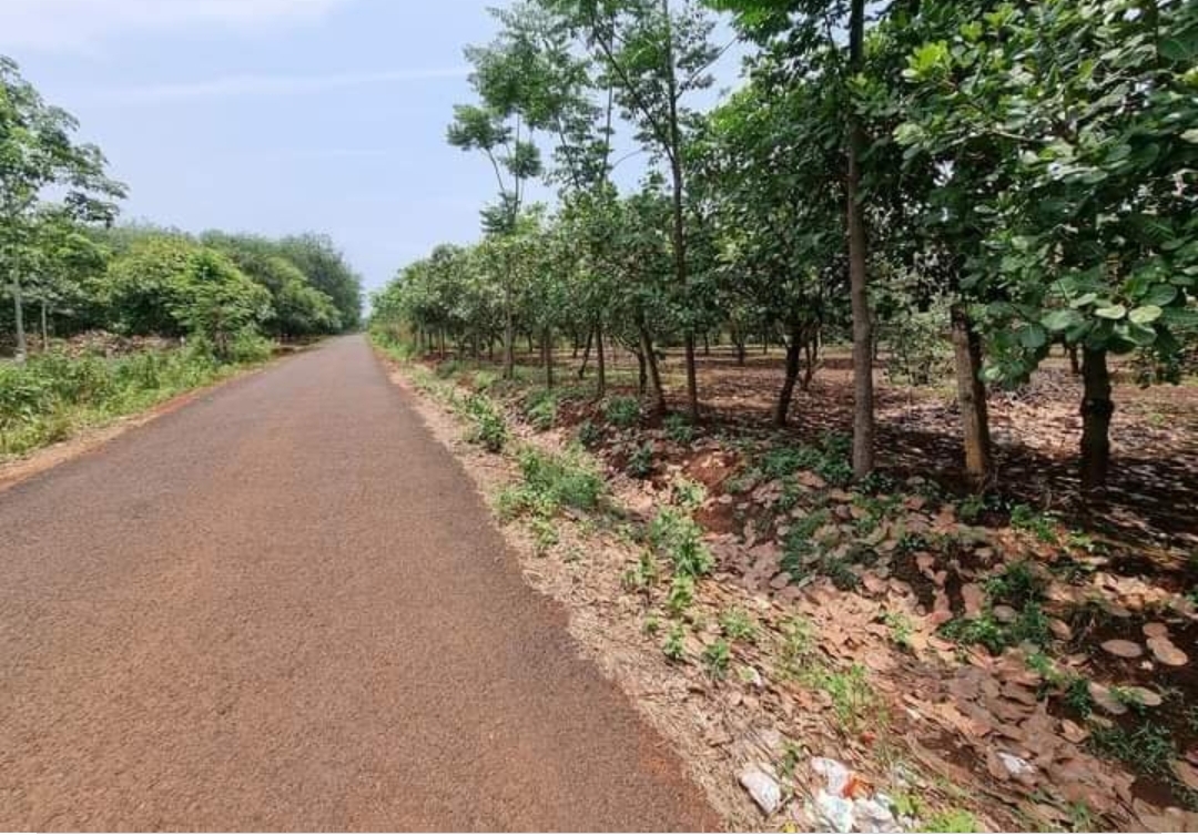 Bán đất xã Long Hưng dt 19sào giá 9,5tỷ