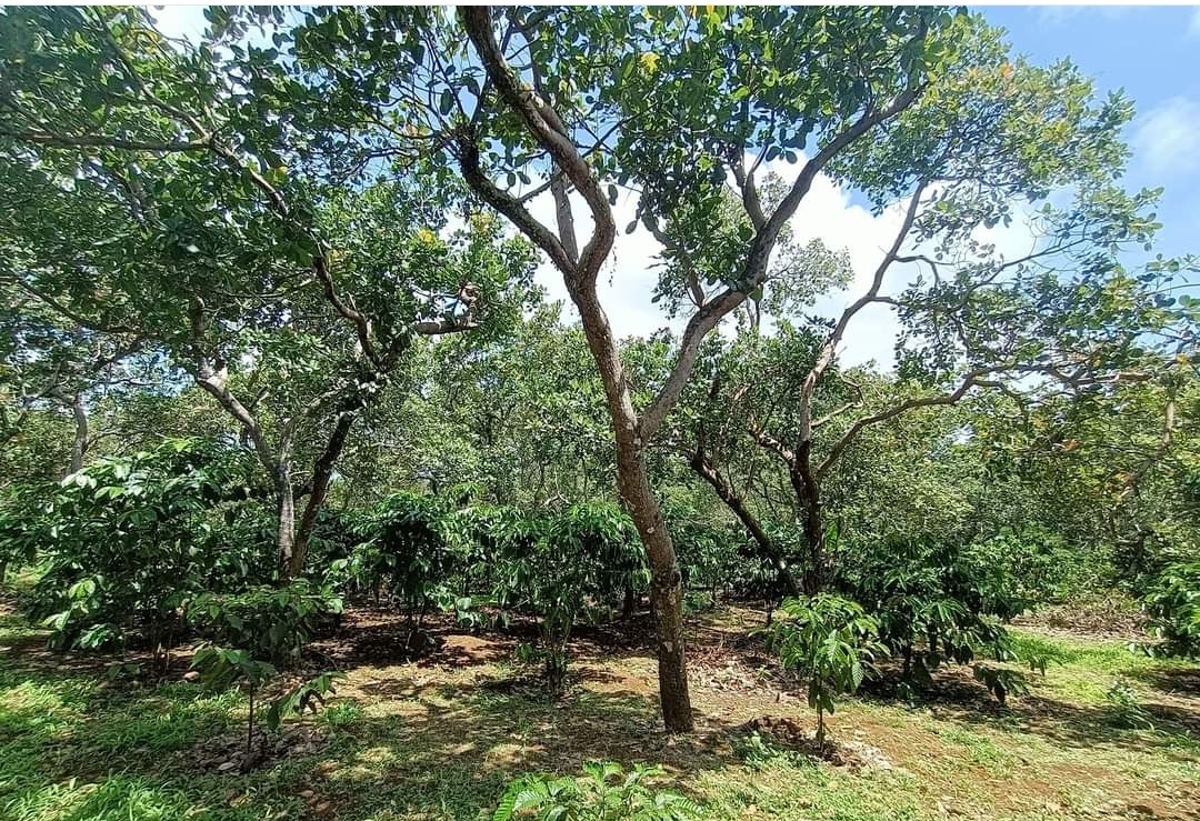 Bán đất xã Phú Sơn dt 1,7ha giá 1,2tỷ