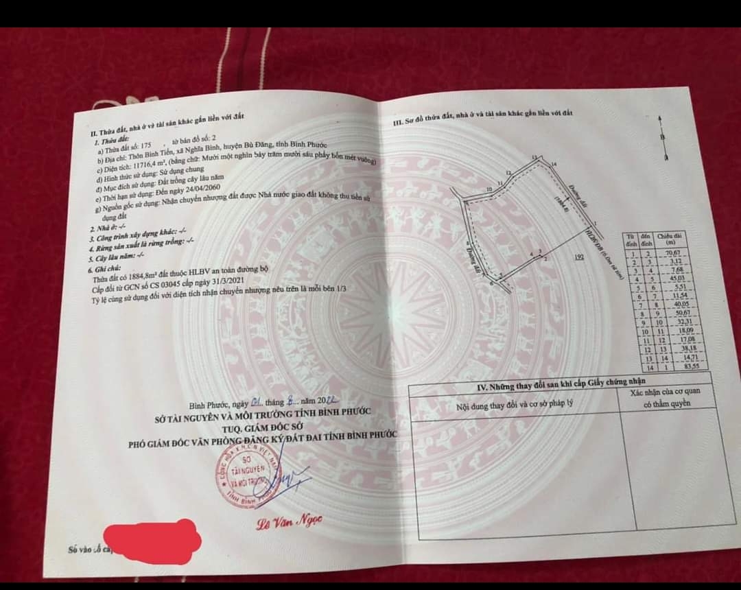 Bán đất xã Long Bình dt 1,1ha giá 3tỷ