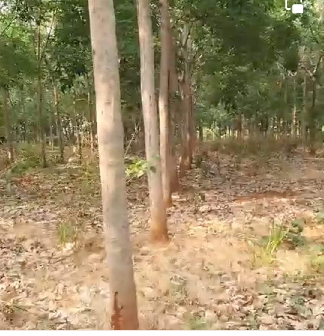 Bán đất xã Long Bình dt 2ha giá 1,7tỷ/ha
