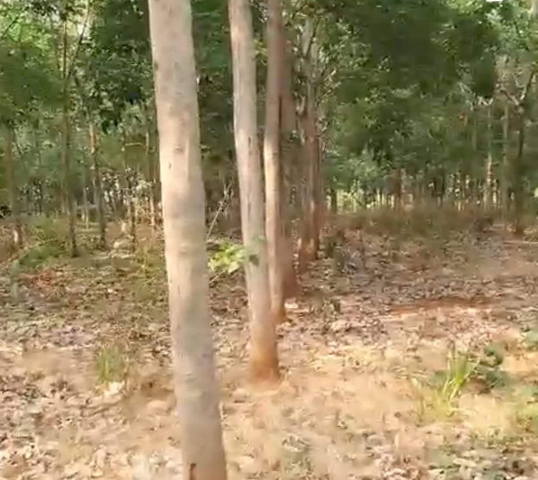 Bán đất xã Long Bình dt 2ha giá 1,7tỷ/ha