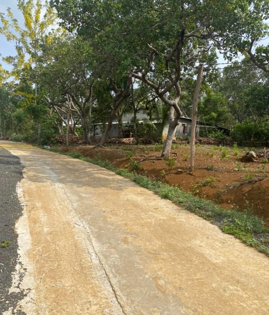 Bán đất xã Bình Minh dt 5*42*100tc giá 290tr