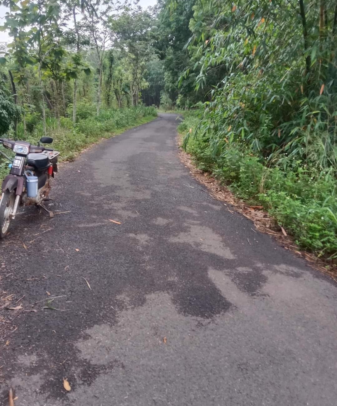 Bán đất xã Tân Thành dt 1,4xào giá 350tr