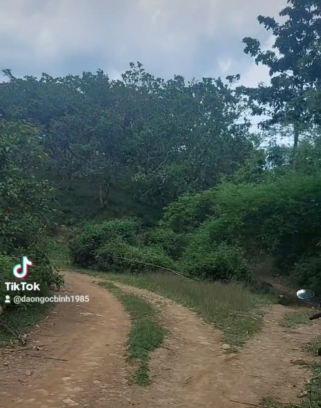 Bán đất xã Phước Sơn dt 2,2ha giá 1tỷ/ha